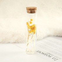 부케돔 안개꽃 미니 말린 보존 꽃 유리 표류 웨딩 파티 장식 위시 병, 2.1PCS Gypsophila