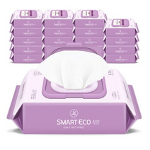 스마트에코 베이직플러스 아기물티슈 캡형, 20팩, 2개