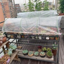 다육이겨울나기 미니온실 비닐하우스 베란다 옥상 식물 보온 조립식 화분 덮개 월동 바람막이, 길이 180 폭 88 높이 52 cm