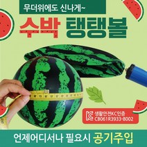 탱탱볼 탱탱볼/칼라탱탱볼/무지탱탱볼/삼색탱탱볼/돼지탱탱볼/물놀이공/물놀이용품/비치볼, 칼라무지탱탱볼(옐로우)