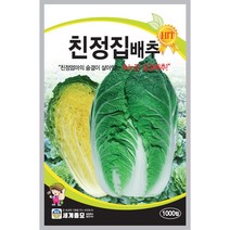 친정집배추 1000립 / 김장배추 배추씨앗 배추씨