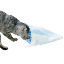 고양이좋아하는향 활력건강 터널 스코티시폴드 셀커크렉스 숨숨집, 1개