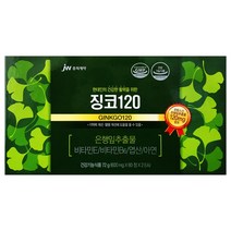 jw중외제약 징코240(120캡슐)-4개월분, 6박스, 120정