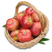 아침이슬사과 경북 23년 햇 홍로 사과 가을 빨간사과 모음, 1박스, 07_경북 가정용 홍로5kg 중과19-22과)