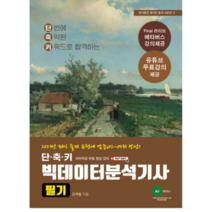 (에이아이에듀) 2023 단축키 빅데이터 분석기사 필기 김계철, 분철안함
