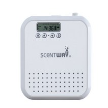 동력 살분무기 300m3 아로마 디퓨저 150ml 배터리 전원 지능형 향기 Hotle 사무실 룸 오일 분무기, 02 WHITE_01 미국