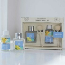 [KT알파쇼핑]더 허브샵 차량용 디퓨저 선물세트 50ml+50ml 자동차 드라이브, 더허브샵 차량용 디퓨저 선물세트 50ml/라임민트