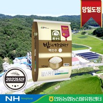 안동농협 햅쌀 밥이 다르다 백진주쌀 백미, 10kg, 1개