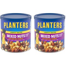 플랜터스 라이틀리 솔티드 믹스넛 425g 2팩, 2개