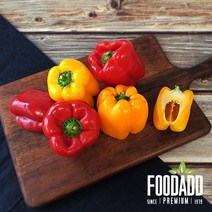푸드에드 국내산 파프리카 red yellow, 6개입