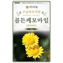 타임 1000립 - 백리향 허브 허브씨 허브씨앗 씨 씨앗 타임씨앗 타임씨 꽃씨 꽃씨앗 다년생 여러해살이 Thyme, 05_다농_골든케모마일(다이어즈)(1g)