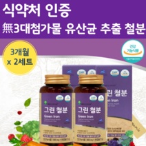 유산균 유래 철분제 철분 대용량 임신 전 초기 후기 중기 철분제 철분 비헴철 고함량 청소년 남자 산모 철분제 임신부 출산후 노인 중년 모유수유 수유부 철분 보충 보충제 철분제, 90캡슐 x 2개 (6개월분)