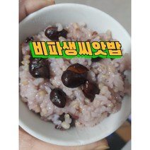 완도산 비파생씨앗 1KG 밥에넣어드시면좋은 비파씨앗, 1개