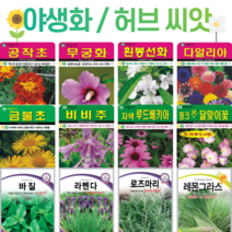 꽃씨 모음 노지 월동 사계절 봄파종 다년생 야생화 할미꽃 분홍달맞이 라벤다 봉선화 무궁화 꽃씨앗, 허브30. 올리브나무 10립