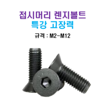 특강 고장력 접시머리 렌지볼트 M2~M12 너트 와셔, M12x70mm, M12, 1개