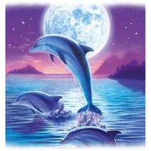 DIY 보석십자수 달빛 속 돌고래 40x50, 단품, 단품