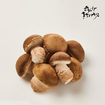 레이틀리푸드샵 [송화버섯] 500g 실속형 산지직송 무농약