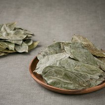 봉래종합약초 그라비올라 300g/한방/건강/약초/약재 식품 > 신선식품 채소류 인삼/한차재료 감초, 1, 300g, 300g” class=”wr-img”></a></div>
</div>
</div>
</div>
<div class=