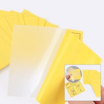 고무튜브 수리 패치 보트 보수 물놀이 테이프 구멍