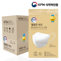 웰클린 네오 황사 방역 마스크 KF94 80매입 소형 중형 대형, 1개입, 80개, 화이트