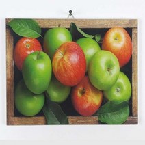 괘짝_청홍사과 아크릴-6040 그림액자