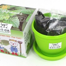 [고양이정원]고양이정원 캣닢 재배세트 (화분), 단일속성