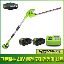 그린웍스 40V 충전 전기 전동 고지전정기 무선 가위톱 정원관리 세트, 2팩