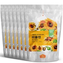 닥터비옴 비폴렌 벌화분, 7개, 300g