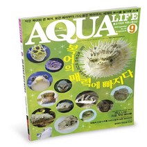 [천삼백케이] [미미네아쿠아] 아쿠아라이프 18년 9월호 - (열대어잡지), 단품