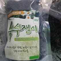 전남구례 지리산 부지깽이나물 햇 쑥부쟁이 부지갱이 봄나물 제철 산지직송 1kg, 건쑥부쟁이나물 100g