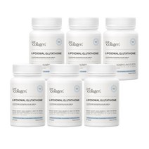 리포조말 퓨어 글루타치온 리포소말 500mg 60캡슐, 6개