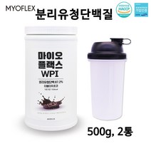 분리 유청 단백질 wpi 단백질보충제 프로틴 파우더 유청단백질 류신 유청분리 유당불내증 더블더치 초코 어린이 청소녀 남성 여성 온가족 추천, 2병, 분리유청단백질