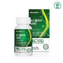 식약처 해썹 보스웰리아 추출물등복합물 BCC 보스웰릭산 나무수액 콘드로이친 해조 칼슘 가자 우슬 강황 상어연골 추출물 갈산 탄닌 인도산 AKBA KBA 관절 연골 영양제