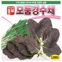 (성실)경수채씨앗 모둠경수채(2000립) 3봉