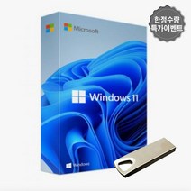 [오늘출발]신제품 윈도우 11 프로 USB+정품키(인증보장상품) Windosw 11 Pro