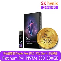 SK하이닉스 정품 SSD Platinum P41 NVMe PCIe Gen 4.0 M.2 2280, SK하이닉스 Platinum P41 500GB