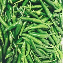 아삭아삭 고추 맵싸한 국내산 청양고추 300g 500g 1kg, 청양고추500g