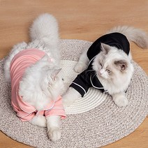 제제펫 라인 애견 잠옷, Y417PDFC158