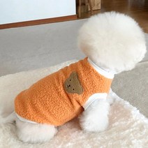 가을 푸들 강아지 미니 비숑 반려동물 고급 겨울 옷 뽀글이, 귤색 + S등 길이 25cm(3-4근 권장)