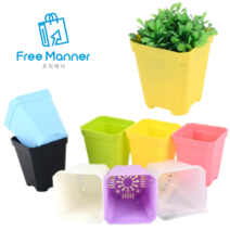 [FreeManner] 플라스틱 미니 사각 화분 10P 다육이 허브 반려식물, 하늘색