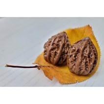 다팜몰 손 지압 가래(추자)열매 어버이날 건강 선물 세트 2개 1세트, 벨벳핑크