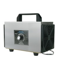 12V 자동차 가정용 오존 살균 냄새 연기 제거 공기청정 소독기 오존발생기, 02.5g 자동차 집 겸용 버전