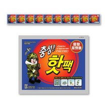 충성핫팩 중형 100g, 30개