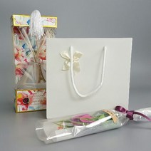 선물포장 고급 종이 쇼핑백- 투명 종이가방, 10.화이트리본20x20-중형(5장)SAF09