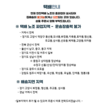 오너클랜 페리오주니어 카카오 라이언 양치세트/ 초등학생용, 단일