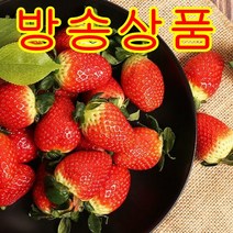 거창 설향 딸기 350g x 4팩 /당일수확 산지직송