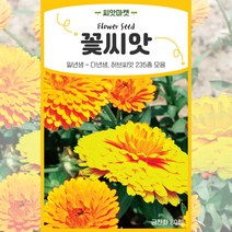2023년 생산품 고급모음 꽃씨앗 일년생 다년생 야생화 사계절 꽃씨 종자, 105 무초50립
