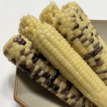 무주 대학찰옥수수 급냉 찐옥수수 12개/24개, 미백12개+알록이12개