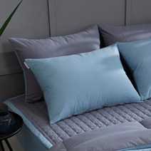 르헤브 국내생산 피톤치드 베개솜 1+1 지퍼형 낮은 높은 호텔 구름 편안한 푹신한 항균 수면 숙면, 09.밀크 1+1 (민트)