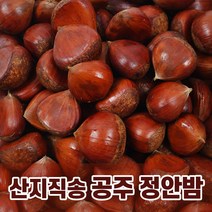 공주 정안 알밤 옥광밤 대보밤 2kg(중/대/특) 2022년 수확 햇밤, 알밤 대 4kg